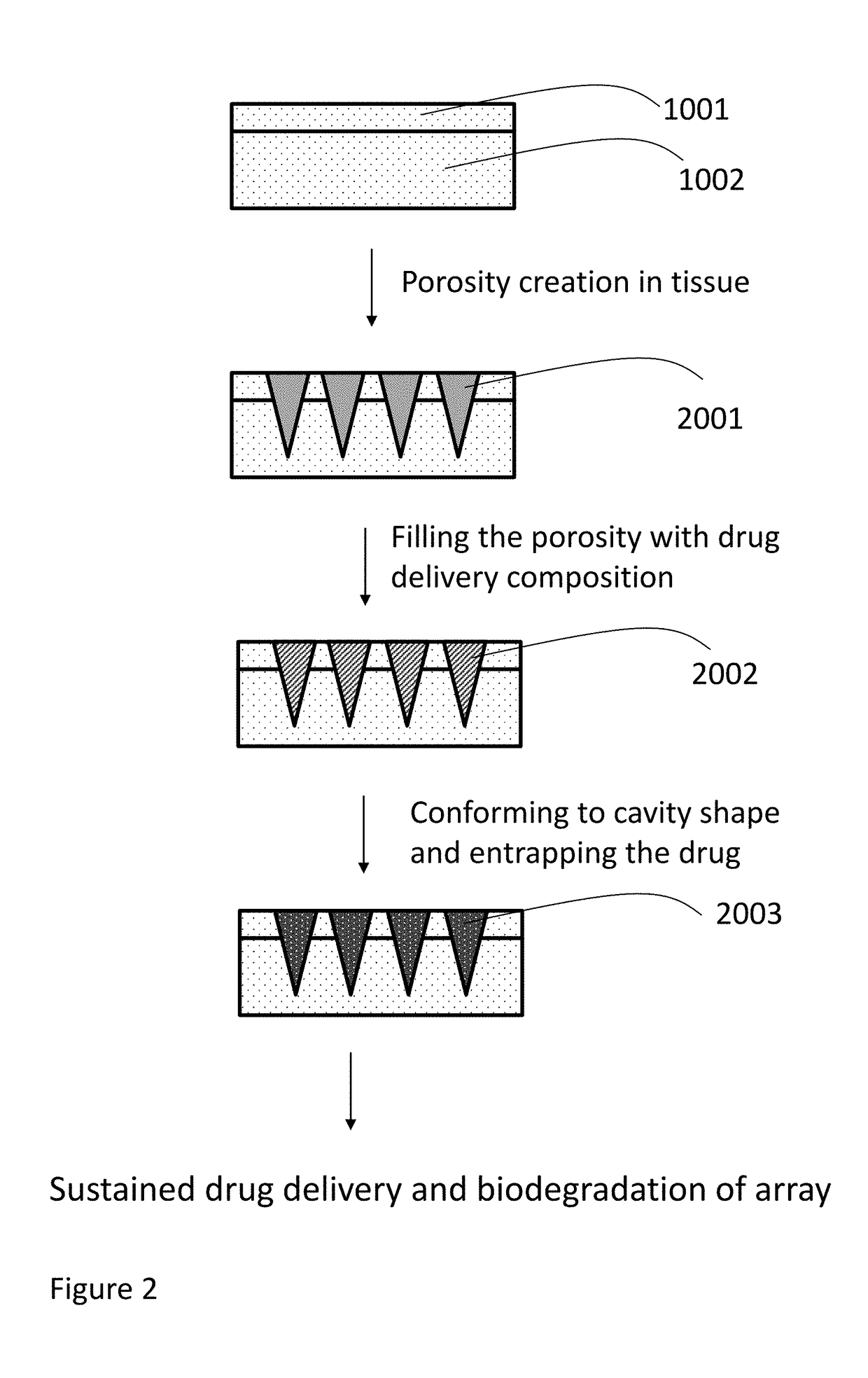 Methods, compositions, and devices for drug / live cell microarrays