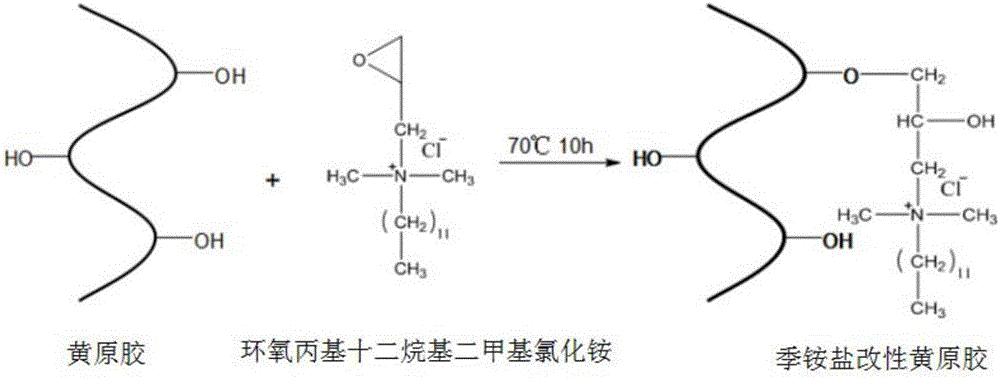 Hydrophobic associative cationic xanthan gum preparation method