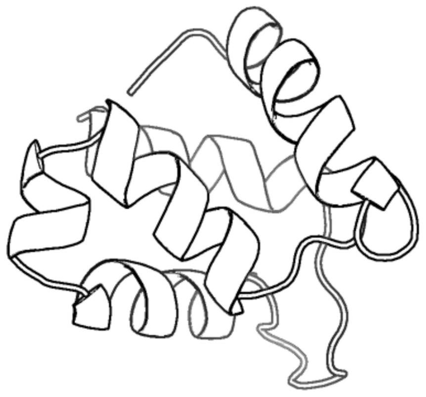 A Method for Protein Conformation Space Optimization Based on Parsimonious Abstract Convex Estimation