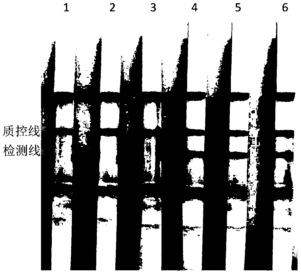 Method and kit for identifying and detecting babesia unidentified species