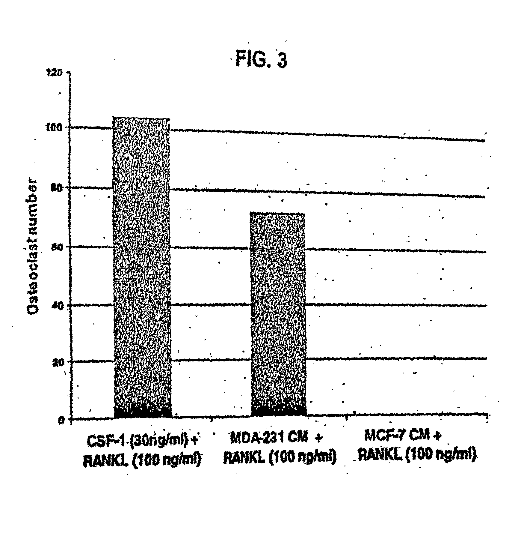 M-CSF-Specific Monoclonal Antibody and Uses Thereof