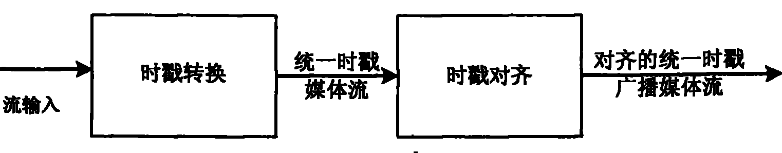 Apparatus, system and method for synchronously playing video data and audio data