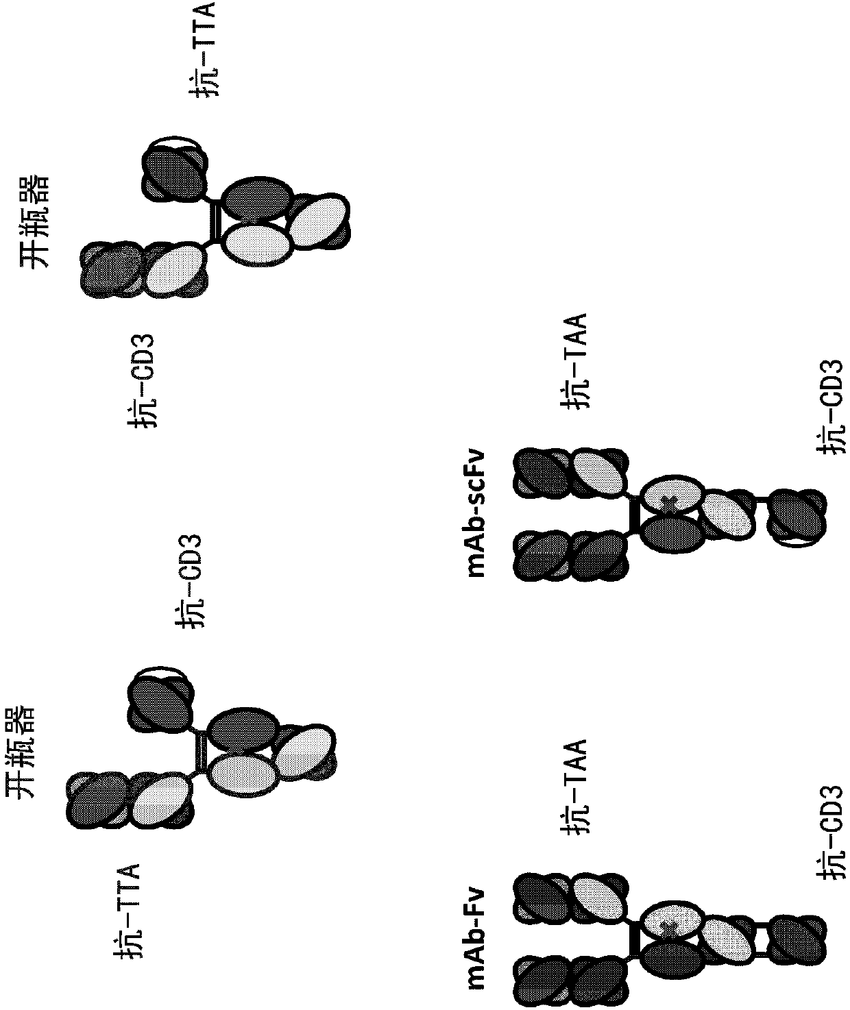 Heterodimeric antibodies that bind cd3 and tumor antigens