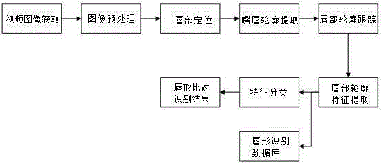 Living person identity authentication method based on voice pattern and image features