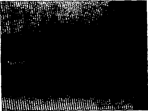 Grating projection and recognition method