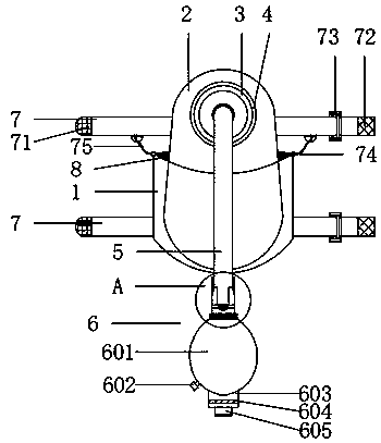 Novel ostomy feeding device