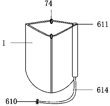 Novel ostomy feeding device