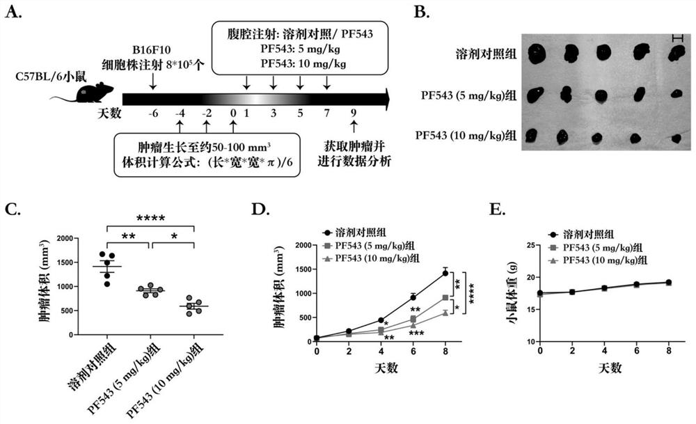 Application of PF543 in preparation of PD-L1/PD-1 monoclonal antibody tumor immunotherapy drug