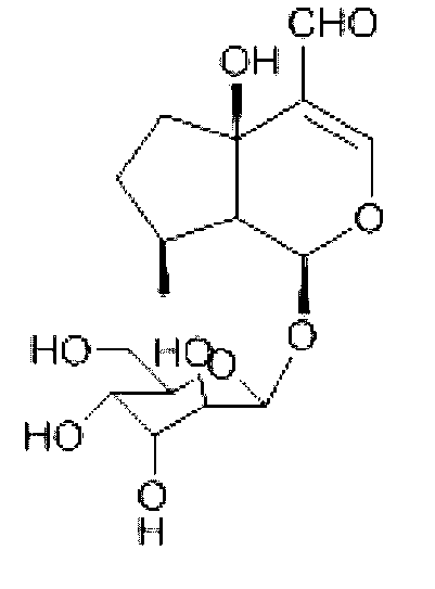 Method for extracting purified plantarenaloside from herba lysimachiae, product of plantarenaloside and application of method