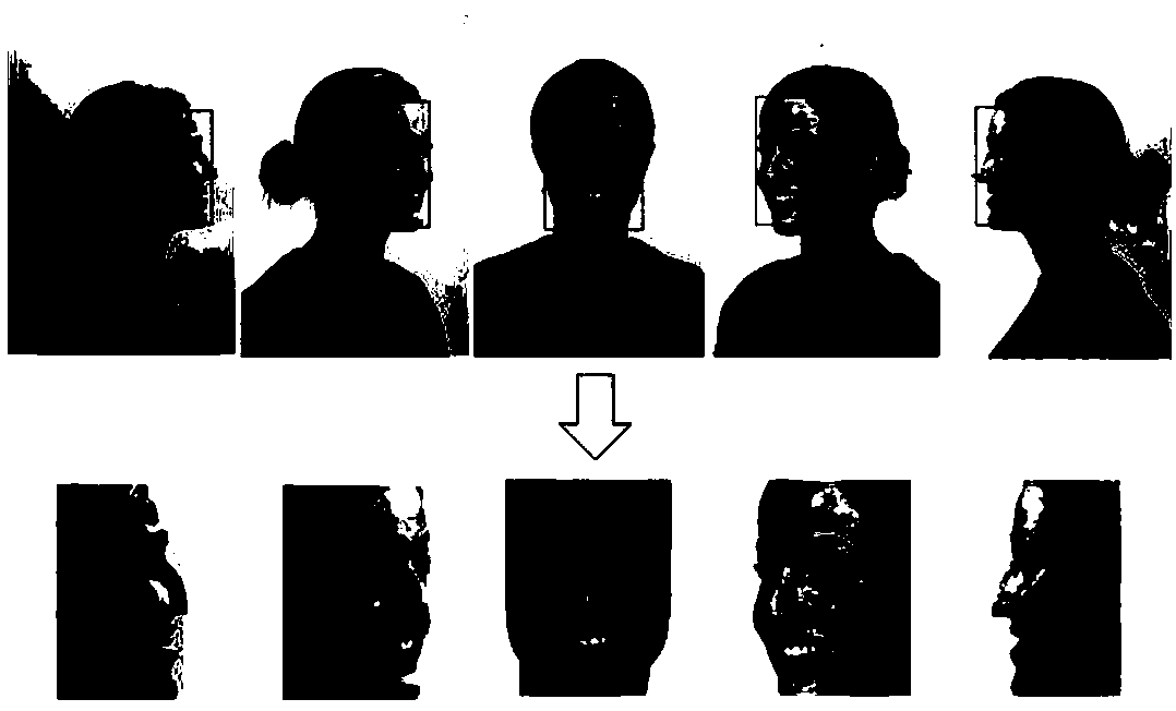 Multi-angle facial expression recognition method under natural state