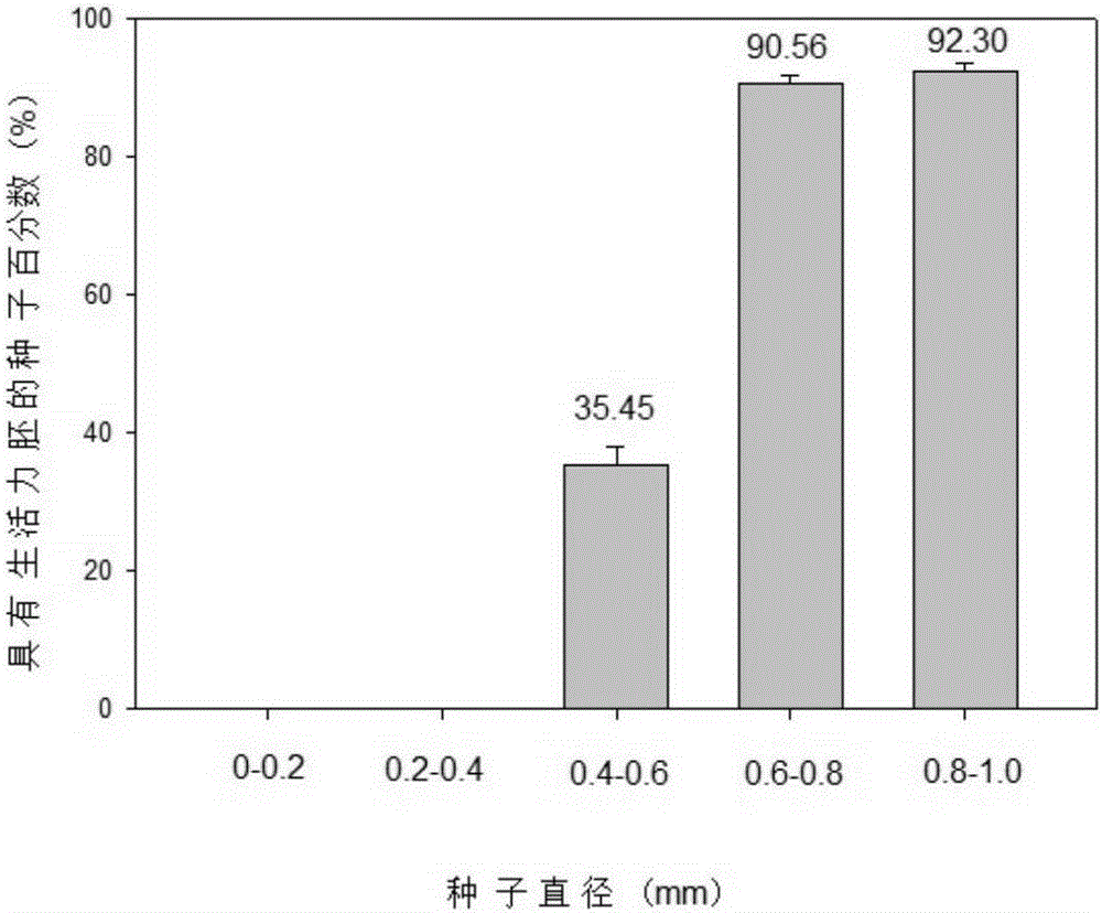 Method for detecting vitality of cistanche seeds