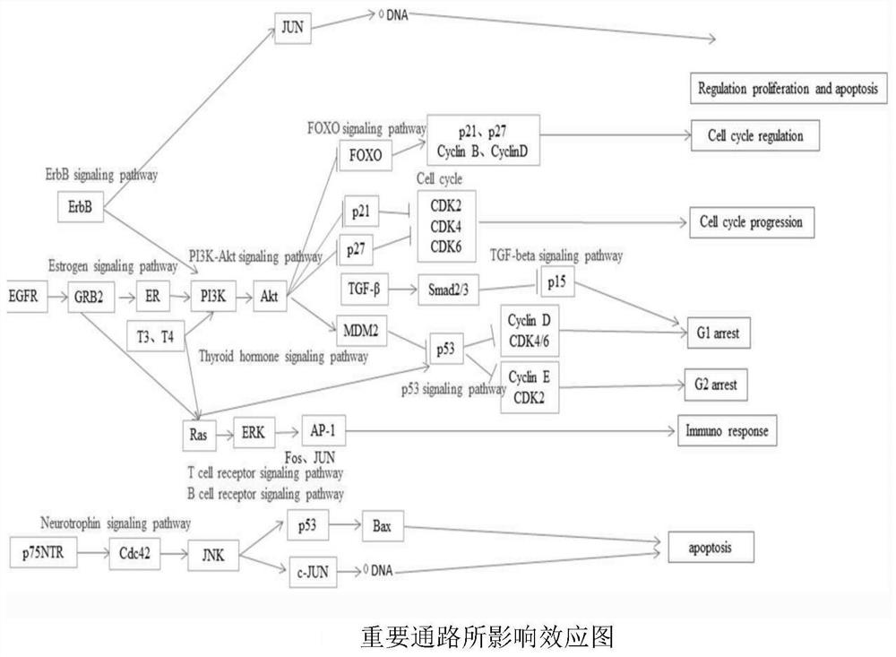 Traditional Chinese medicine network pharmacology deep analysis method and system