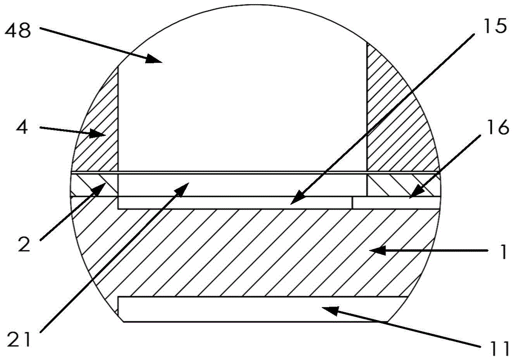 Piezoelectric Valveless Micropump Sucker Based on Parallel Compliant Mechanism