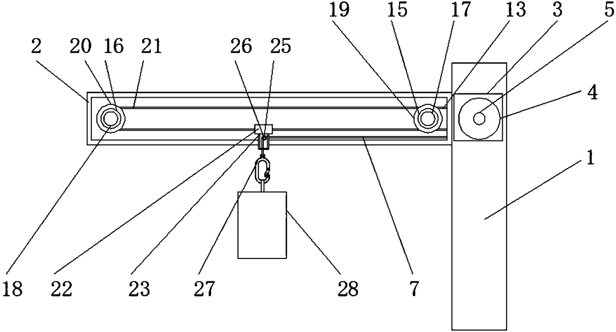 Soft-shelled turtle feeding device