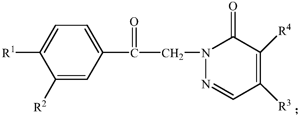 Pyridazinone compound and synthesis method thereof