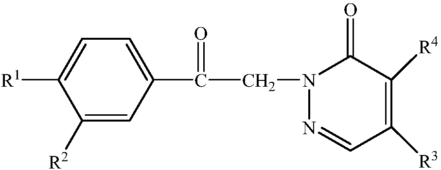 Pyridazinone compound and synthesis method thereof