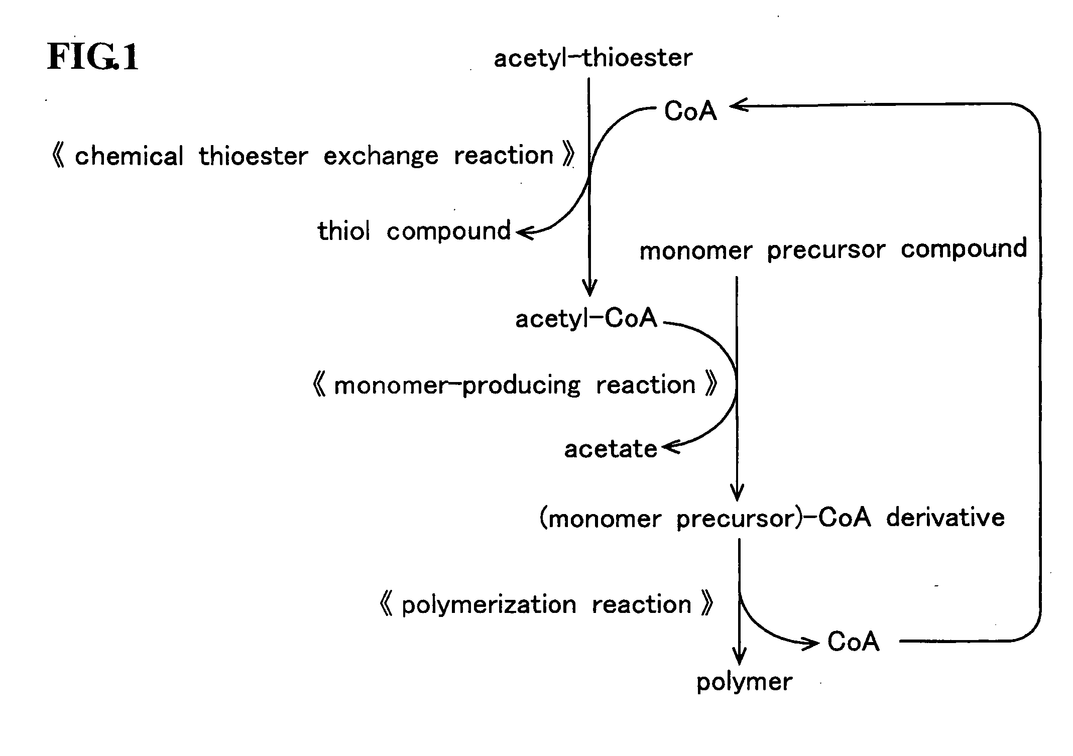 Method for producing polymer