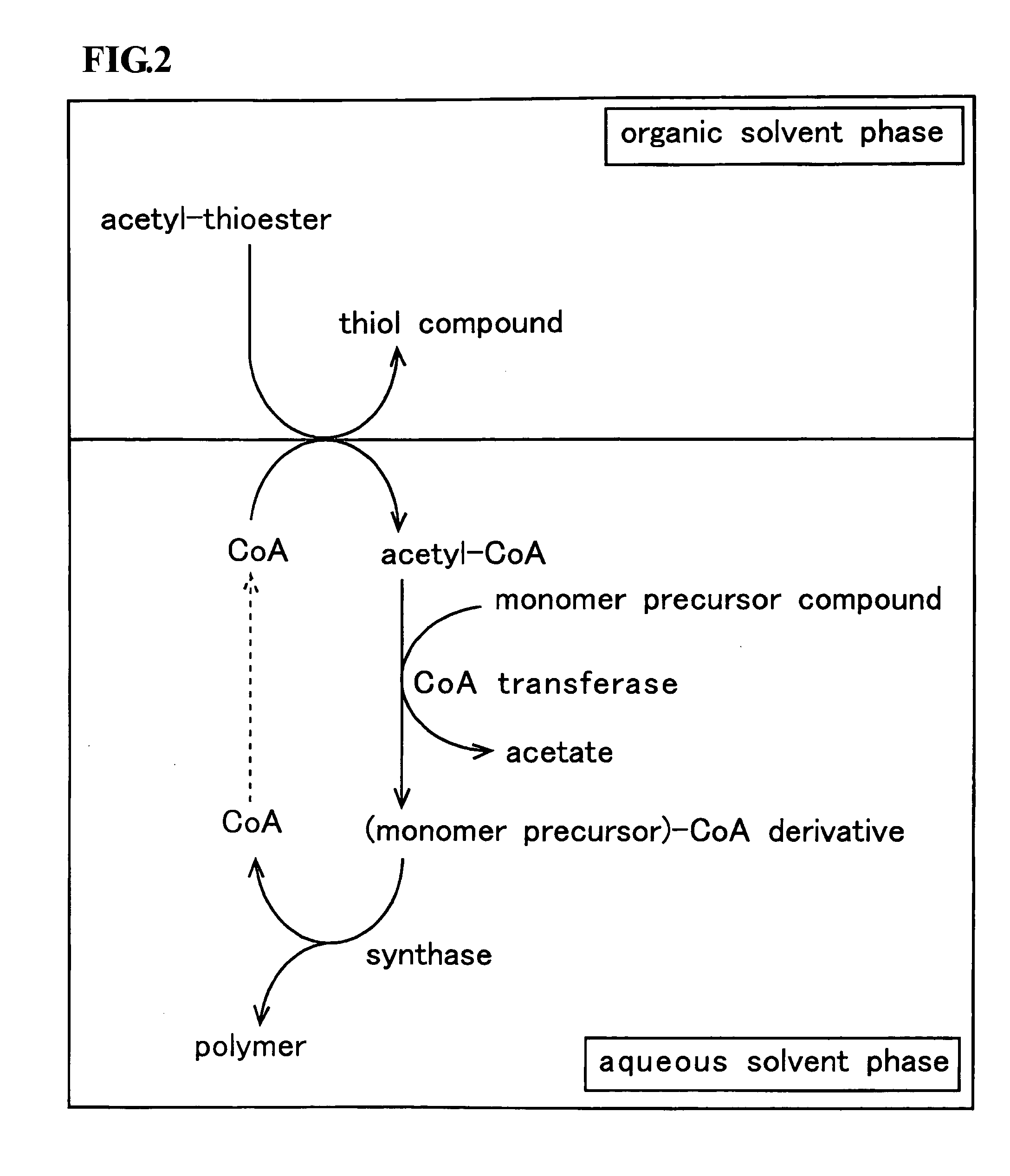 Method for producing polymer