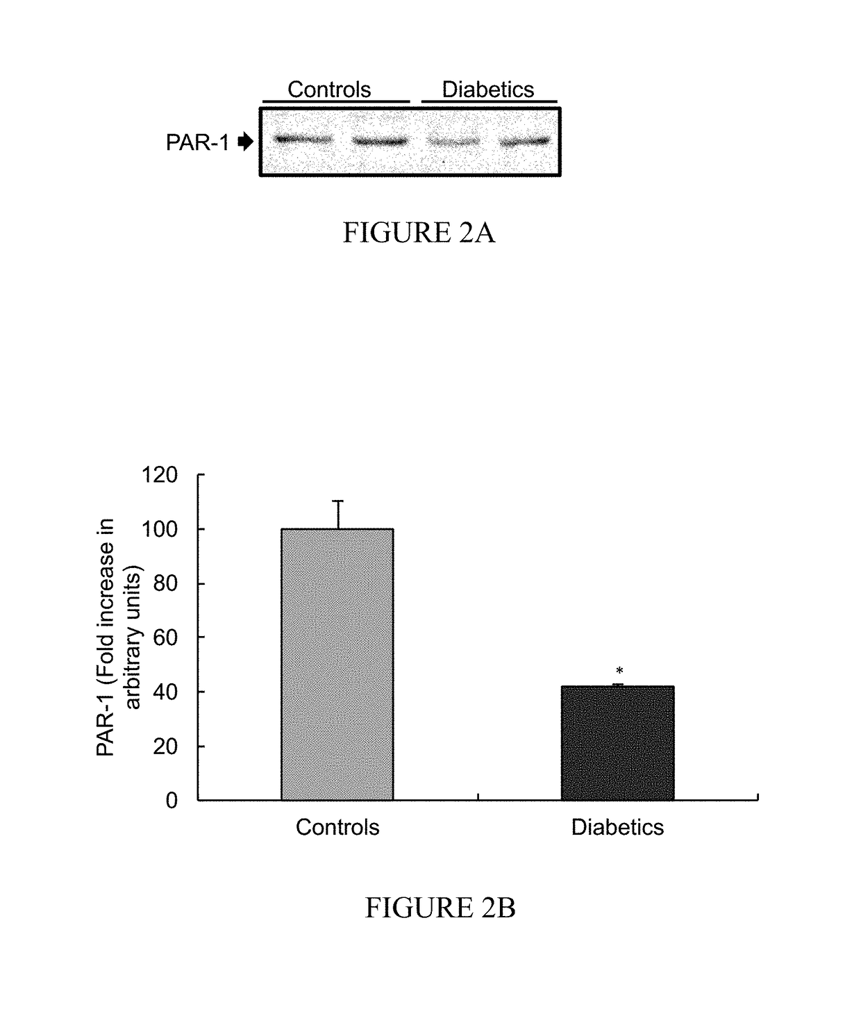 PAR-1 based therapeutic conjugates and uses thereof