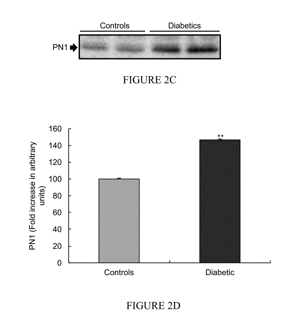 PAR-1 based therapeutic conjugates and uses thereof