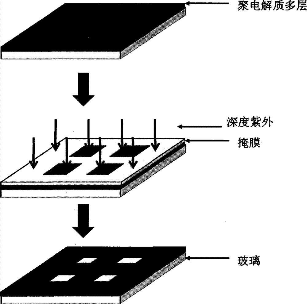 Phospholipid bilayer membrane array fabricated by multilayer polyelectrolyte membrane substrate and fabrication method