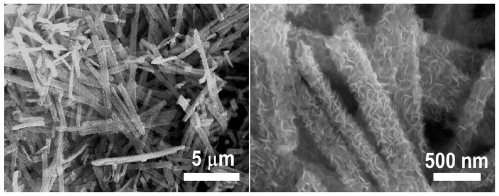 Carbon/molybdenum disulfide-nitrogen-rich molybdenum nitride composite material, preparation and electro-catalytic hydrogen evolution application thereof