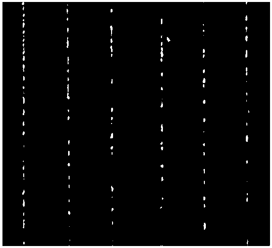 A powder bed device for laser additives and its laser additive method and application