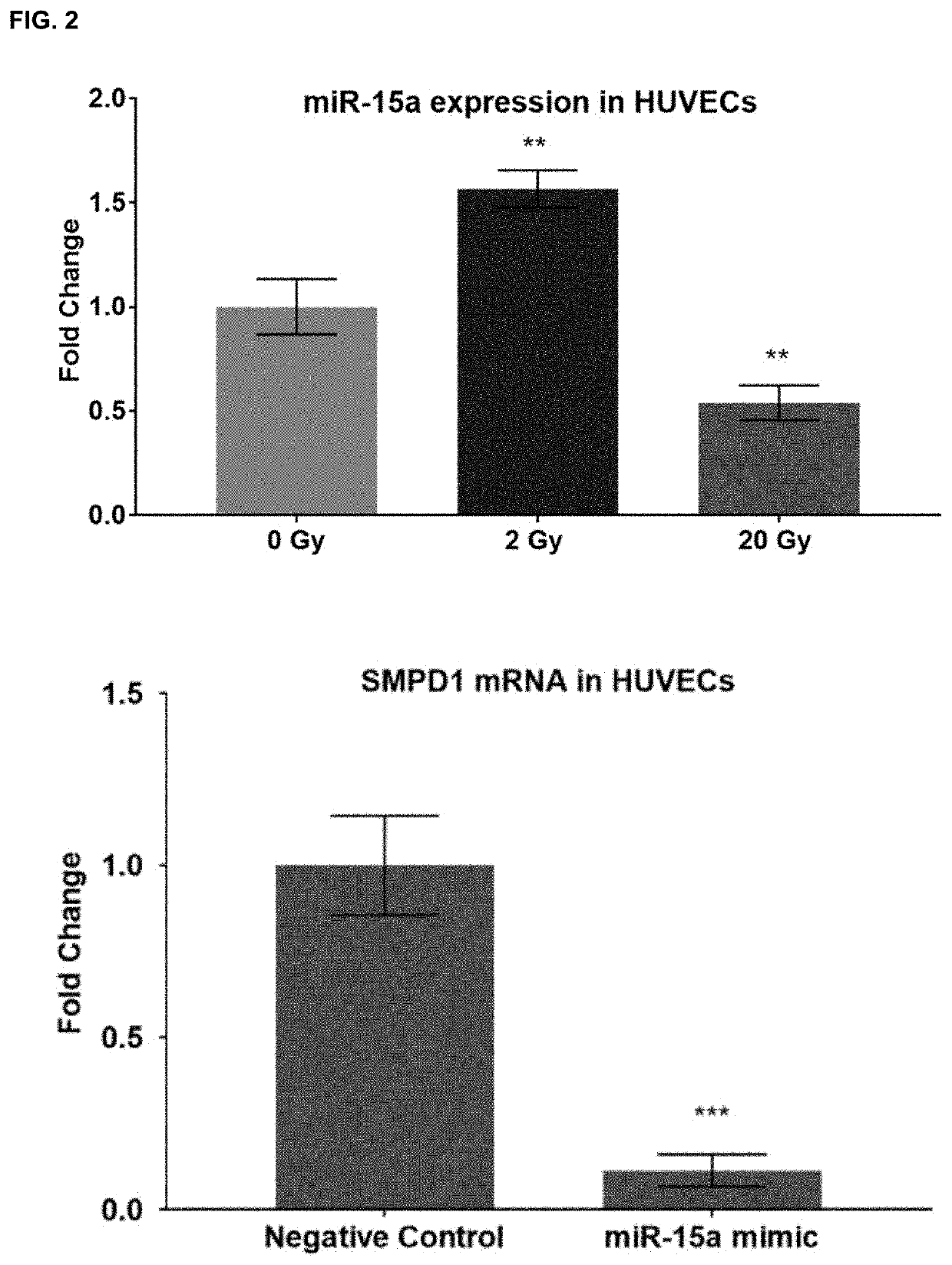 Microrna inhibitors as anti-cancer therapeutics