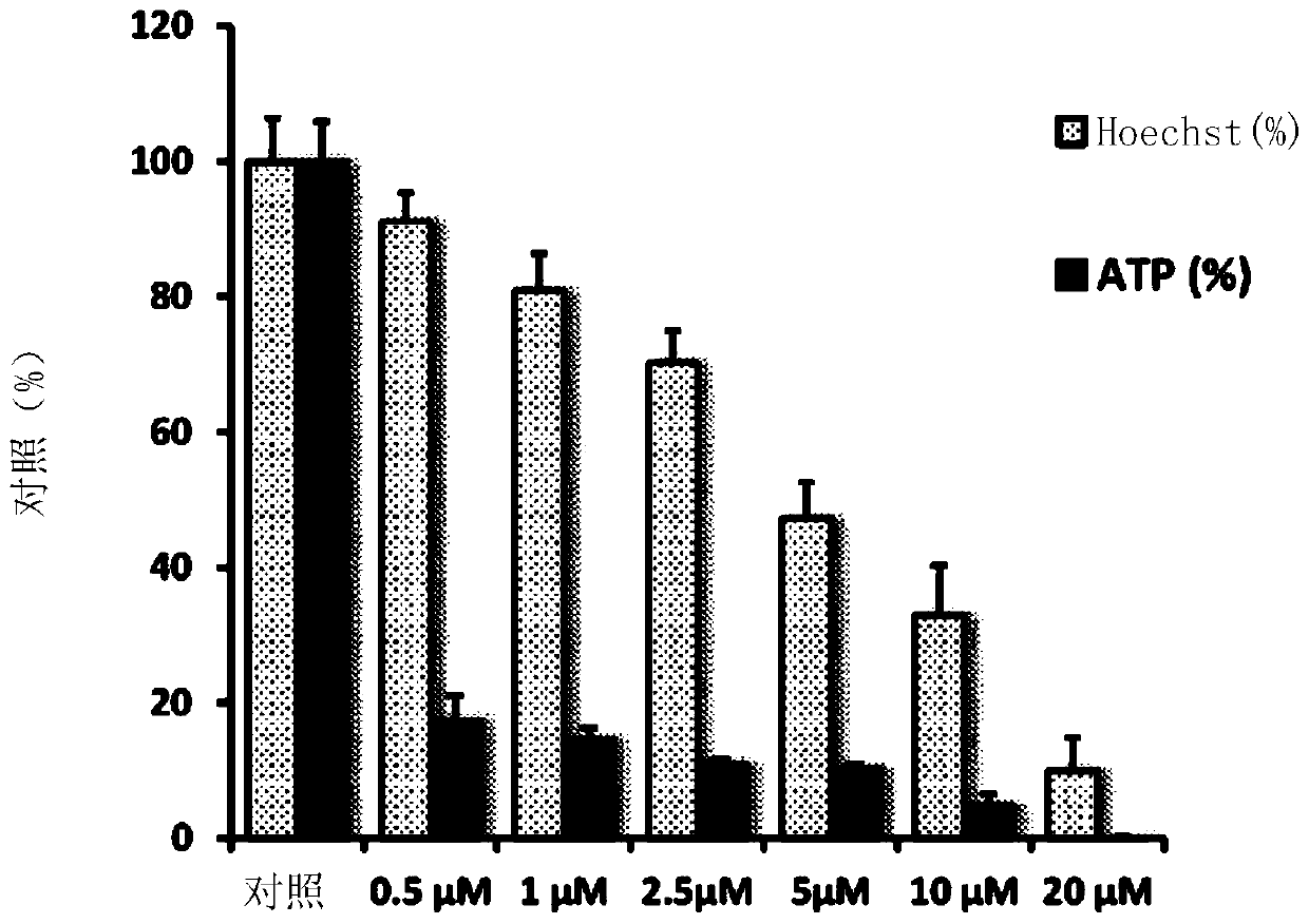 Mitoflavoscins: targeting flavin-containing enzymes eliminates cancer stem cells (CSCS) by inhibiting mitochondrial respiration