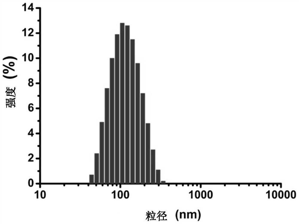 Nano-drug as well as preparation method and medical application thereof