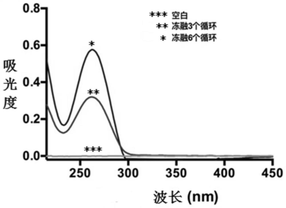 Nano-drug as well as preparation method and medical application thereof