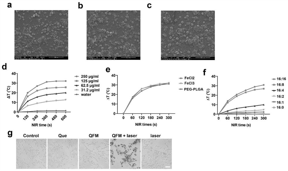 Quercetin iron ion micelle and application thereof in tumor photothermal immunotherapy