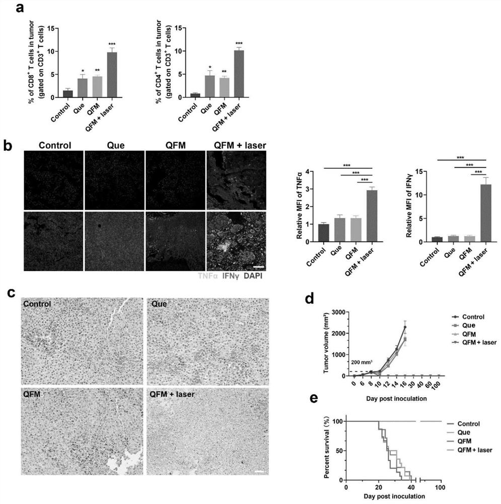 Quercetin iron ion micelle and application thereof in tumor photothermal immunotherapy