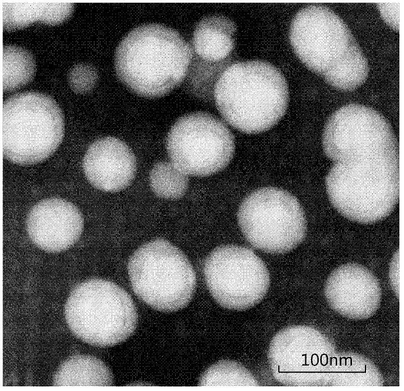 Polyacrylate elastomer with core-shell structure and its preparation method