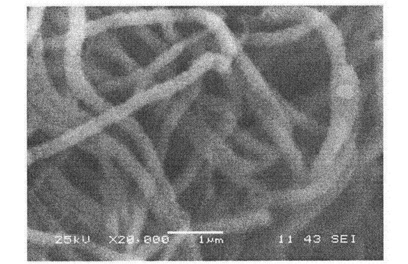 Bead chain manganese borate Mn2BO3 one-dimensional nano-fiber and preparation method thereof