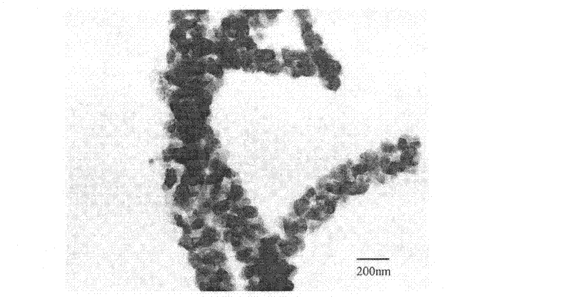 Bead chain manganese borate Mn2BO3 one-dimensional nano-fiber and preparation method thereof