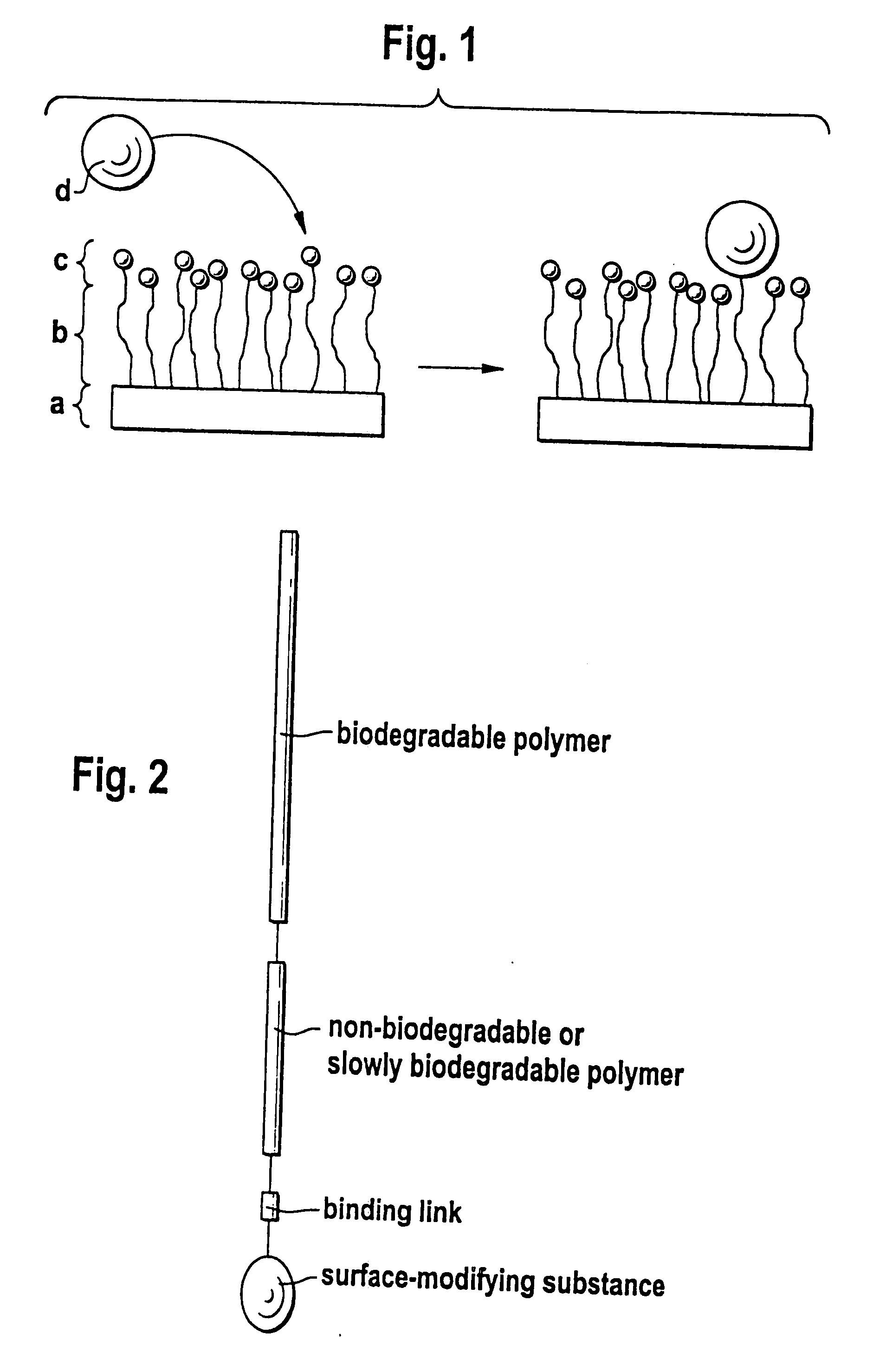 Biodegradable block copolymers with modifiable surface