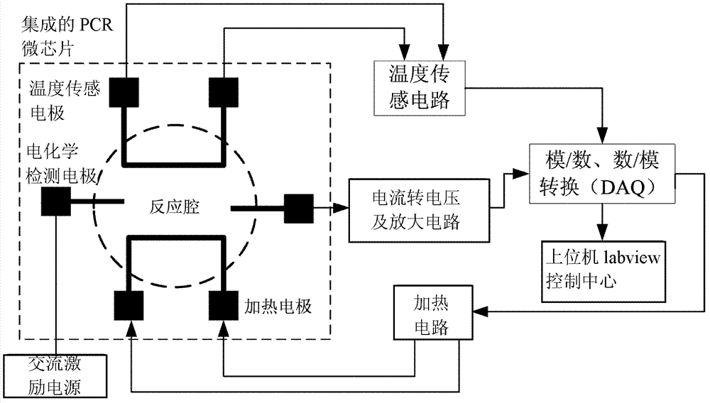 System and method for detecting polymerase chain reaction (PCR) process through non-contact conductivity method in rear time