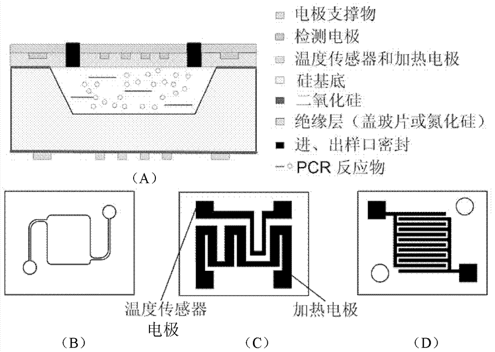 System and method for detecting polymerase chain reaction (PCR) process through non-contact conductivity method in rear time