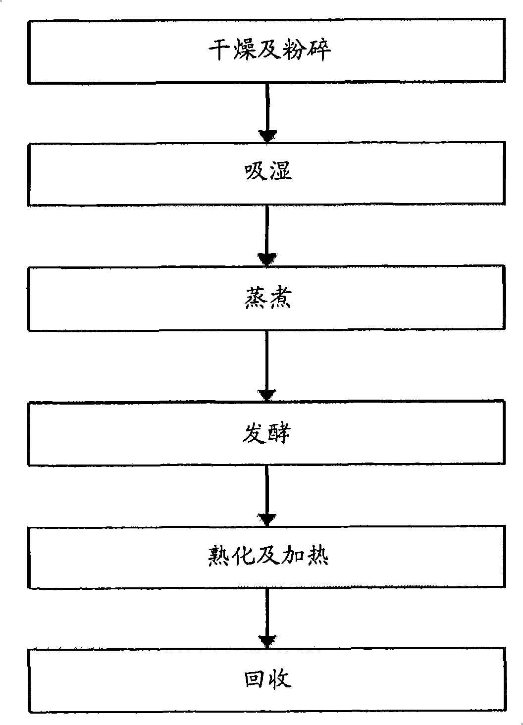 Process for producing sumach extract by using aspergillus fermentation and sumach extract produced by using the process