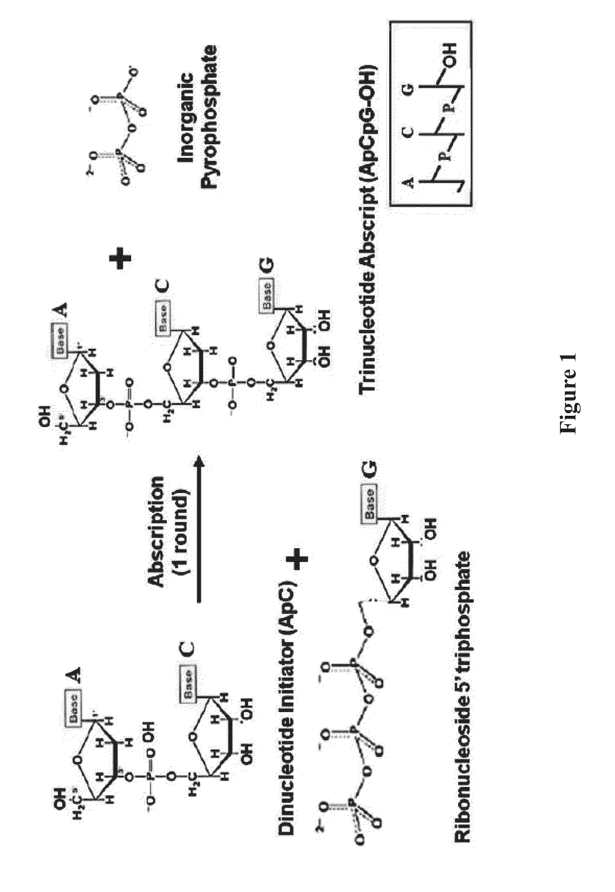 METHODS AND REAGENTS FOR DETECTING CpG METHYLATION WITH A METHYL CpG BINDING PROTEIN (MBP)