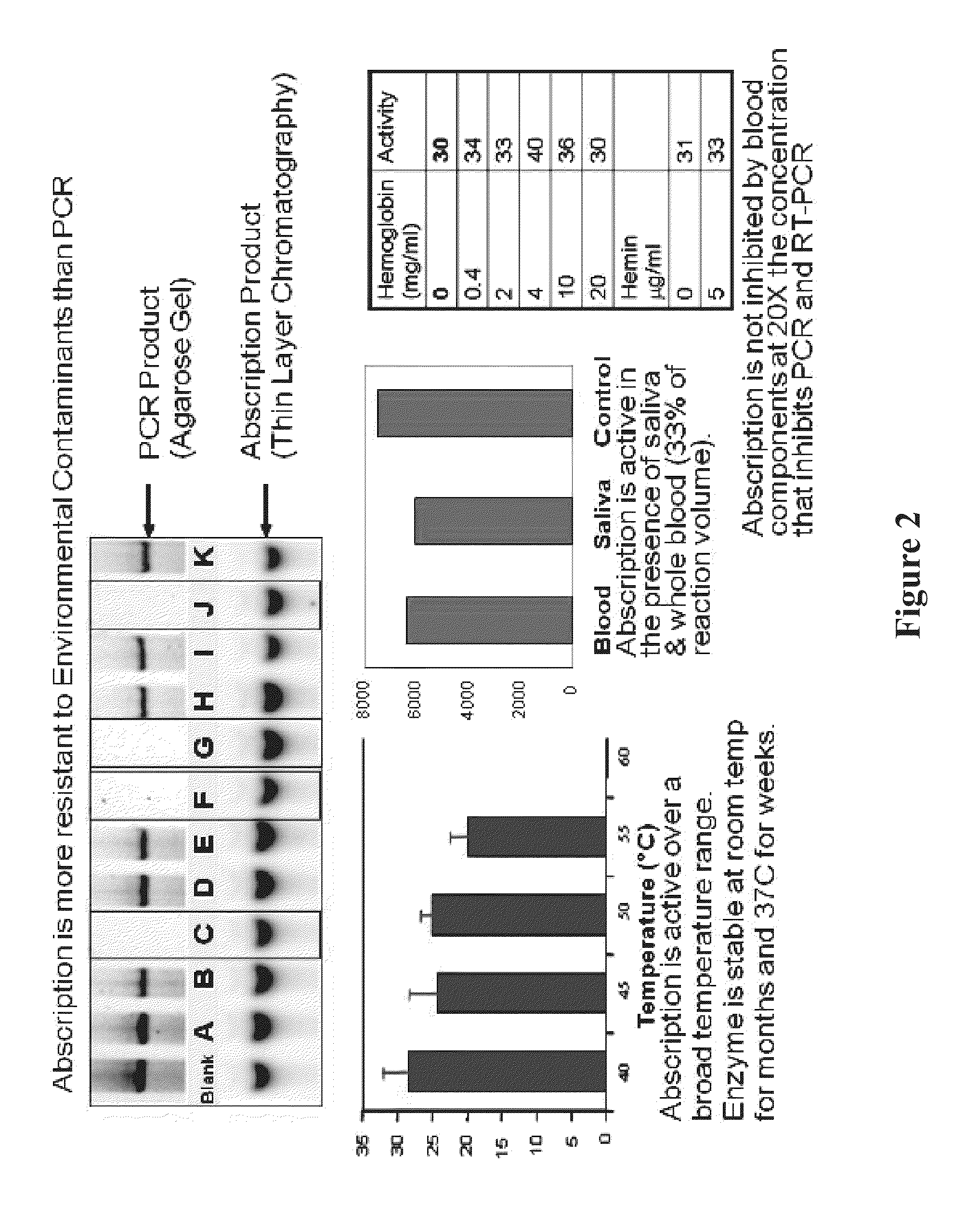 METHODS AND REAGENTS FOR DETECTING CpG METHYLATION WITH A METHYL CpG BINDING PROTEIN (MBP)