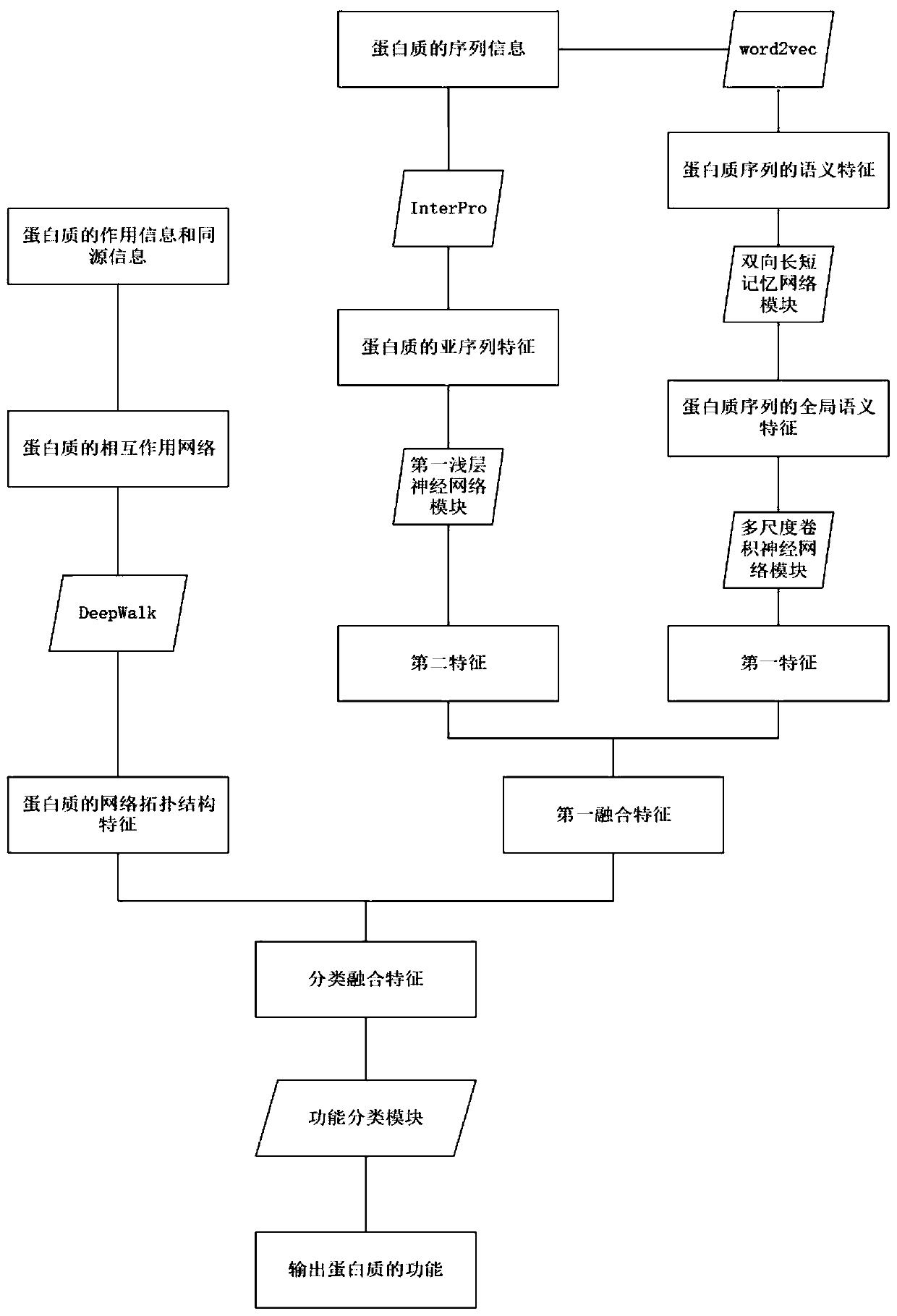 Deep-learning-based protein function prediction method fusing multiple features