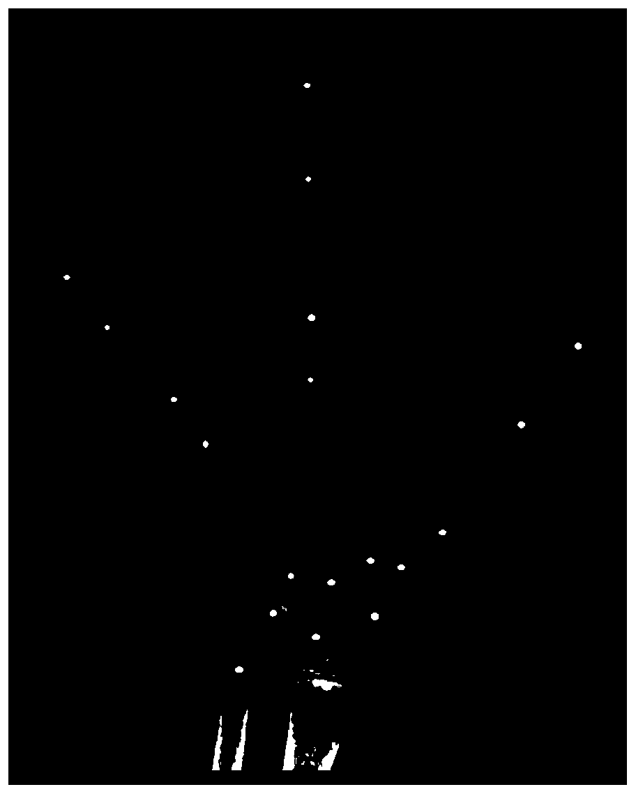 Image processing method and device, equipment storage medium and growth and development evaluation system