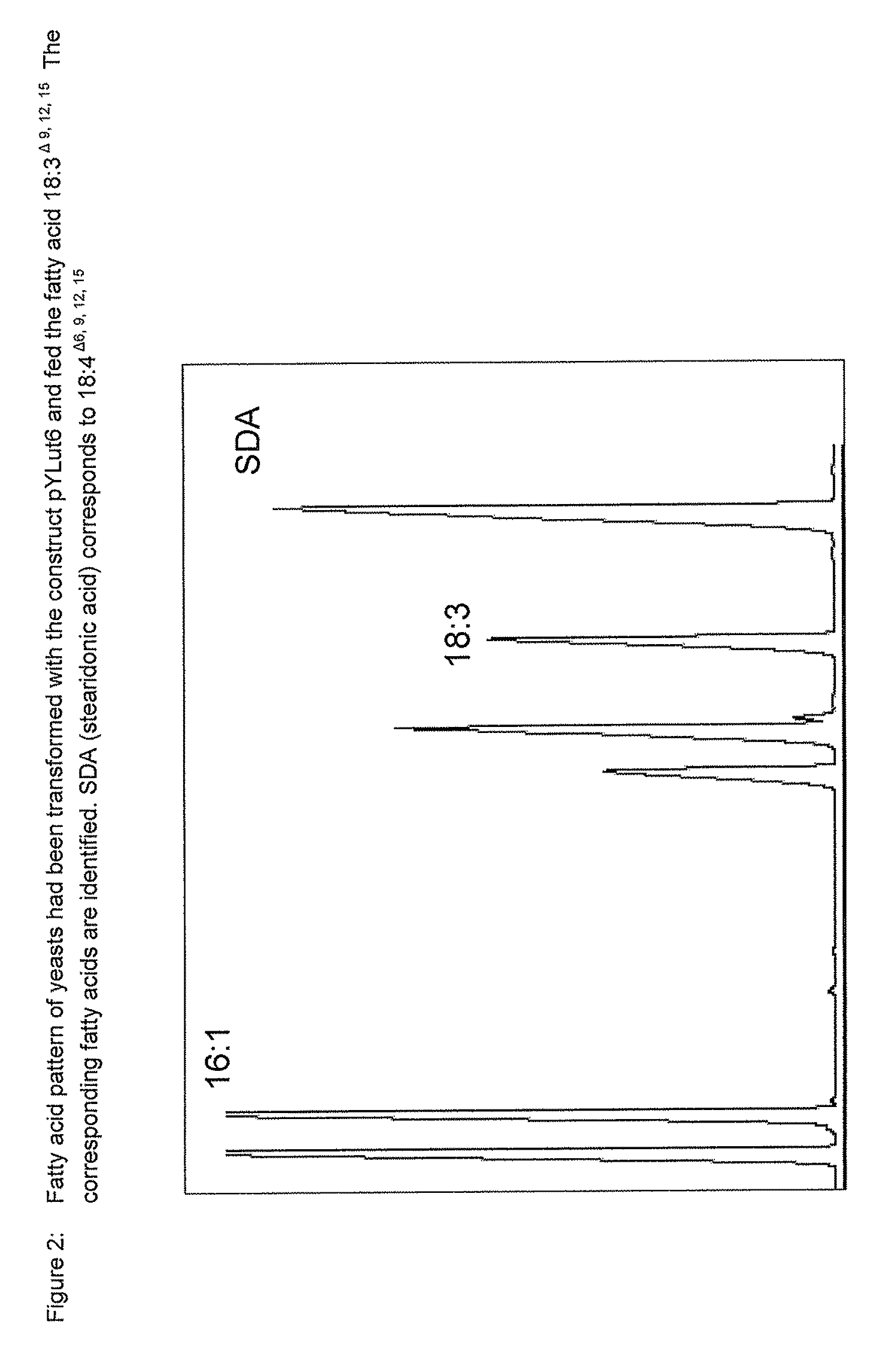 Method for the production of γ-linolenic acid and/or stearidonic acid in transgenic Brassicaceae and Linaceae
