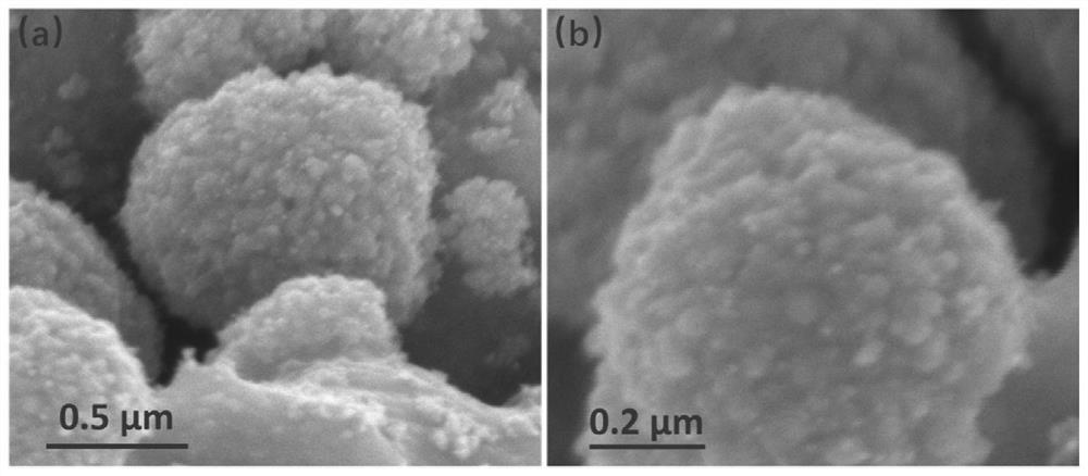 A transition metal chalcogenide carbon-based heterostructure composite material with regular morphology and its preparation method and application