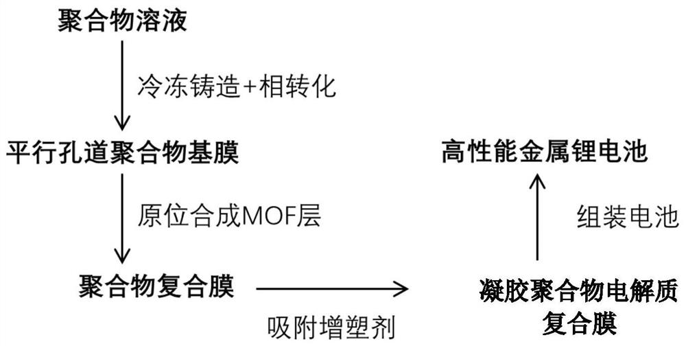 Gel polymer electrolyte composite membrane and its preparation method and application