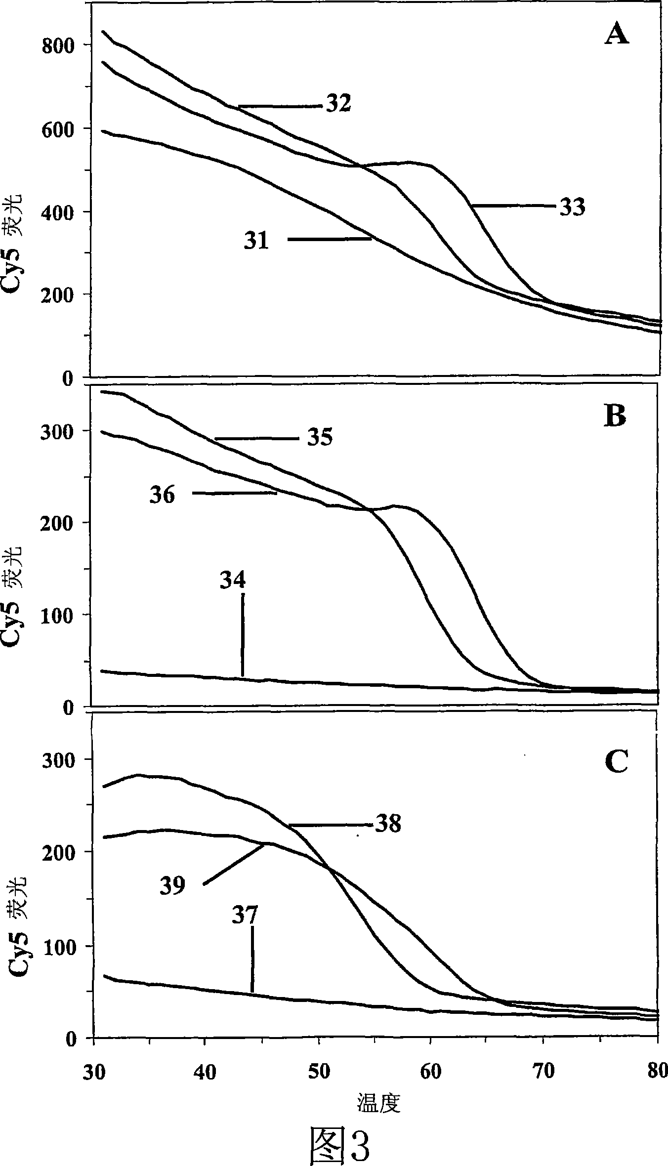 Primers, probes and methods for nucleic acid amplification