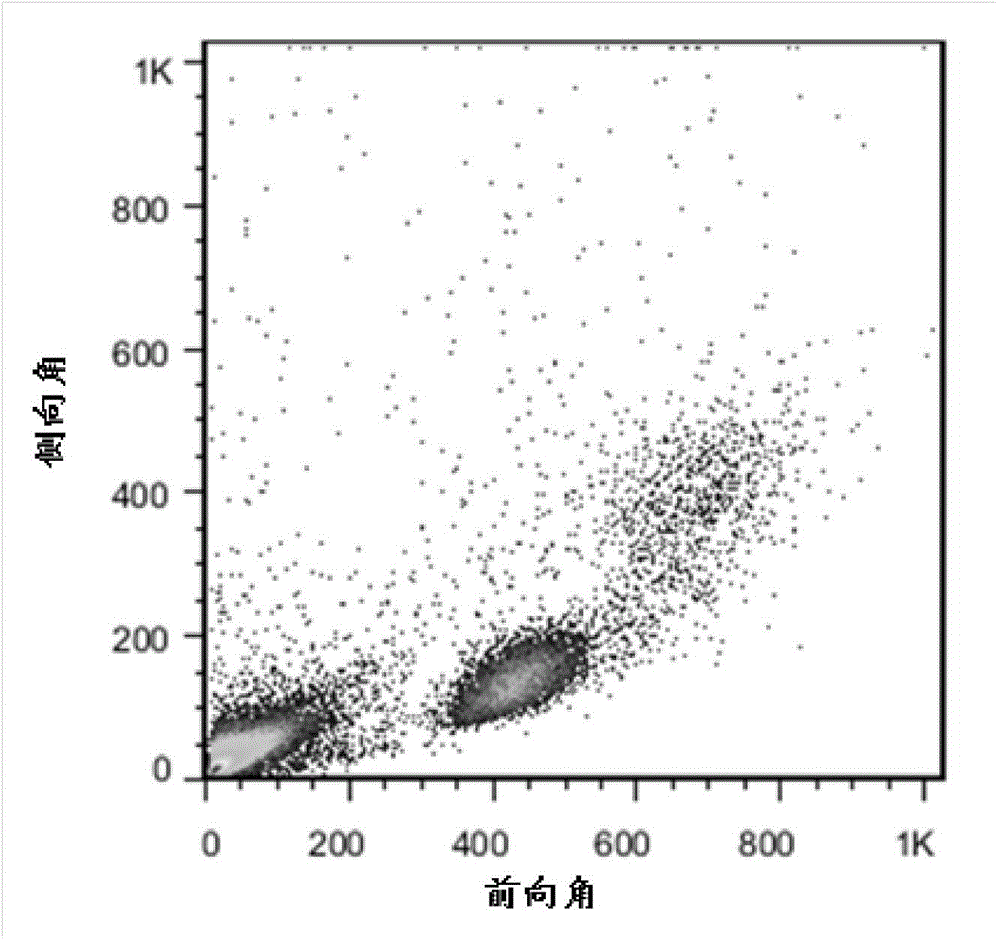 Optimized human-body symbiotic lactobacillus peptidoglycan, and extraction method and application thereof