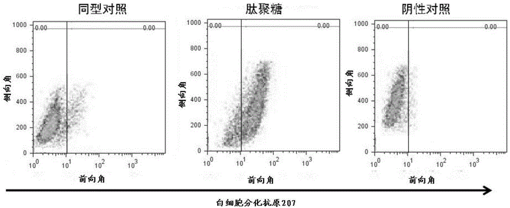 Optimized human-body symbiotic lactobacillus peptidoglycan, and extraction method and application thereof